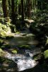 成田山公園（写真：椎名修）